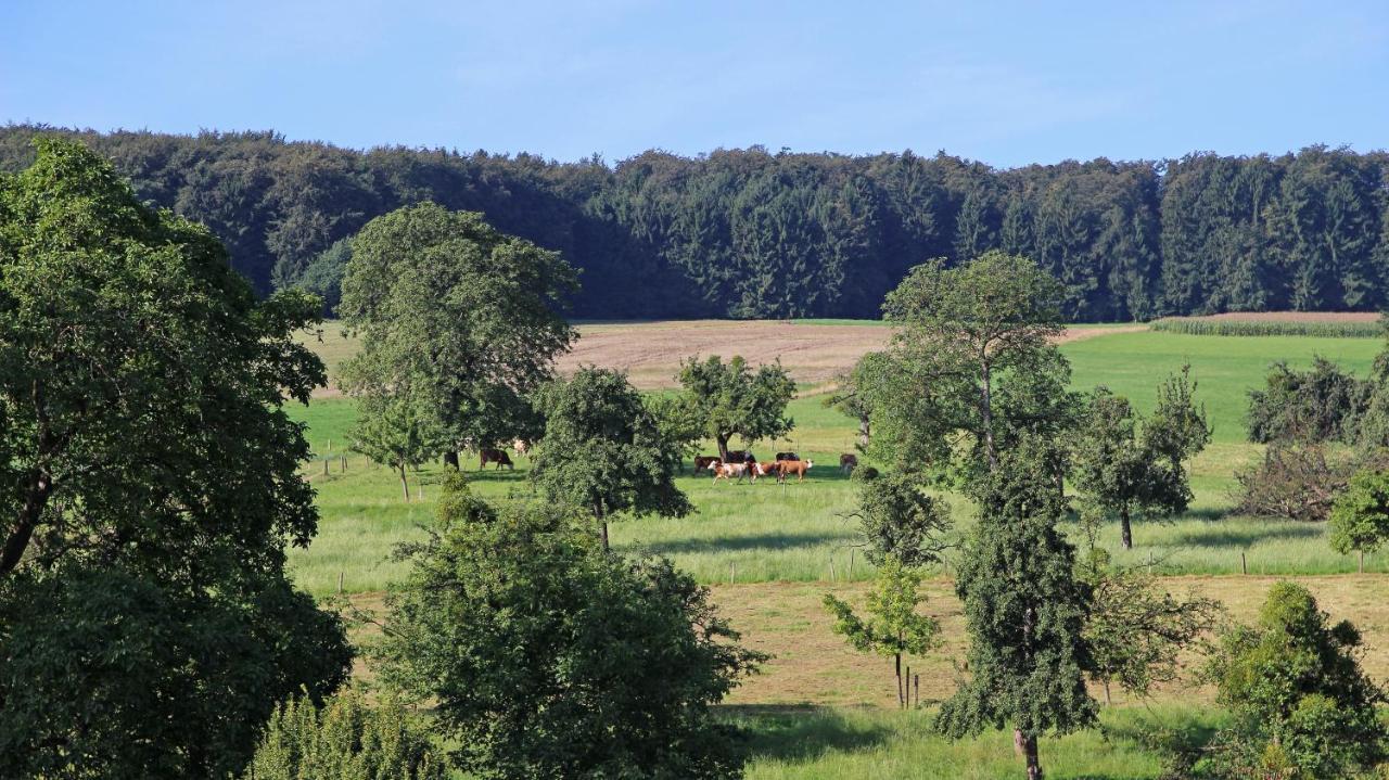 Ferienhof Knoll Lindenfels Extérieur photo